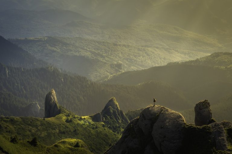 5 Reasons to Book a Group Trip This Year